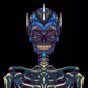 730