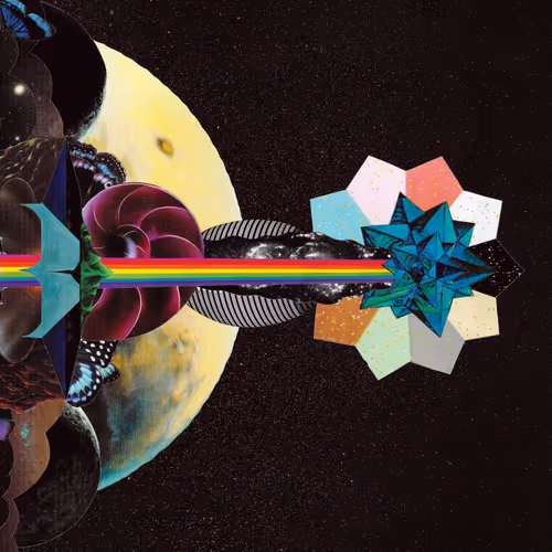 Pluriverse 1