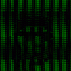 MatrixPunks #166