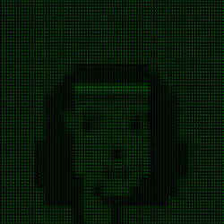 MatrixPunks #167