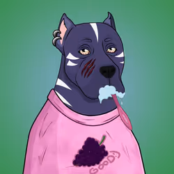 Dogo# 300