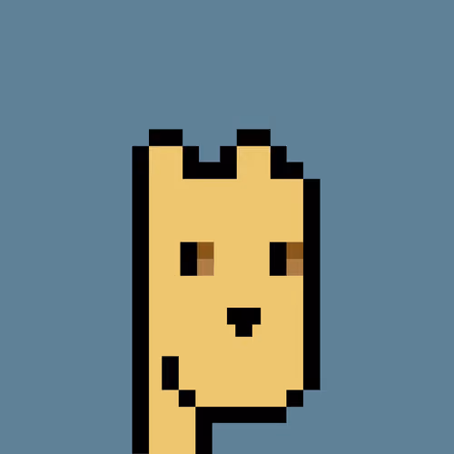bear 020