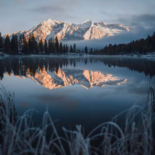 Unspoiled Blues
