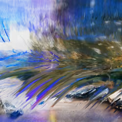Silk Road #322