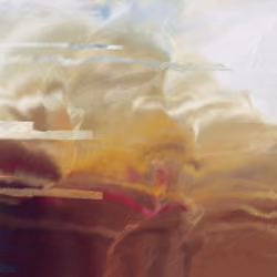 Silk Road #559