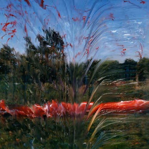 Silk Road By Ezra Miller