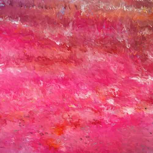 Silk Road By Ezra Miller