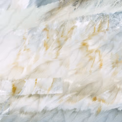 Silk Road #379