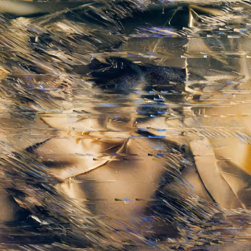 Silk Road By Ezra Miller