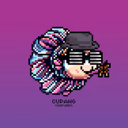 Cupang Ventures #4050