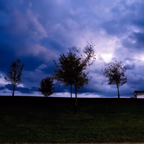 The Observer's Archive