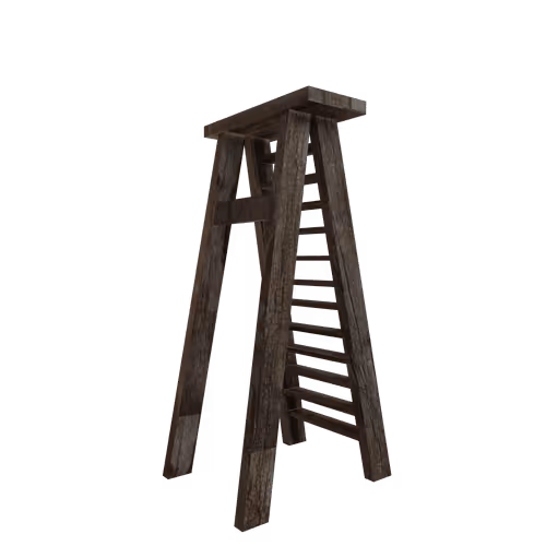 Item #50 Media