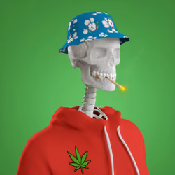 Item Media