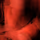 233