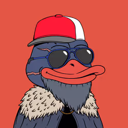 Duckboo #485