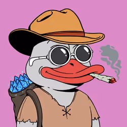 Duckboo #698