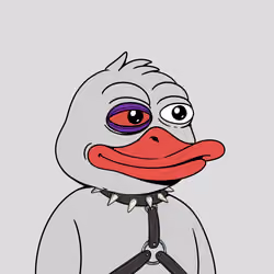 Duckboo #1203