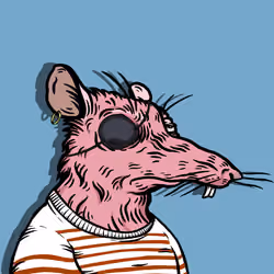 Collaart of Cayagua