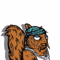Drake de Madagascar