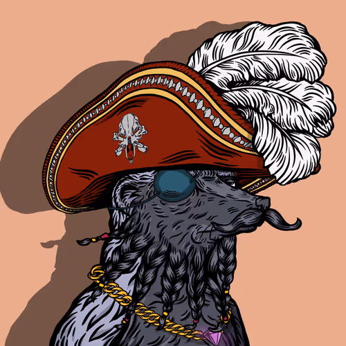 The Picaroons