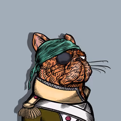 Shipton of Tortuga
