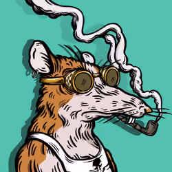 Wittebol del Havana