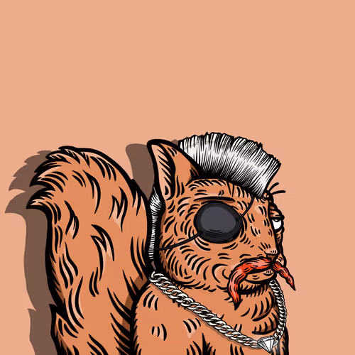 The Picaroons