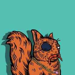 Rais de Madagascar