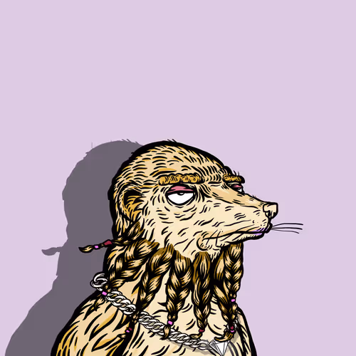 Rous of the Bahamas