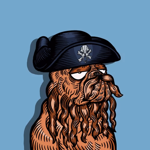 The Picaroons