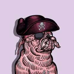 Bonnet del Cadiz
