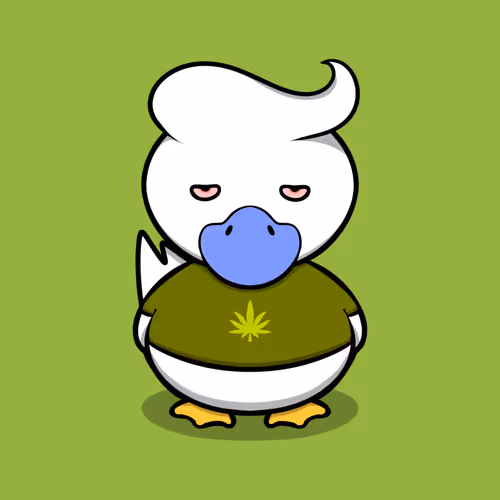 Dastardly Ducks