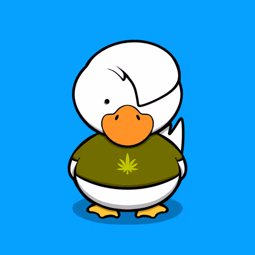 Dastardly Ducks