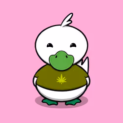Dastardly Duck #7376