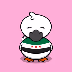 Dastardly Duck #9601