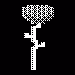Ethercam