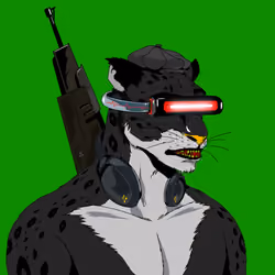 278