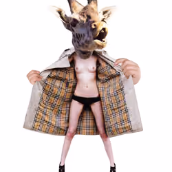 Party Giraffe #5/7