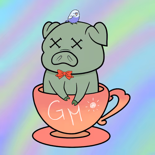 Lucky Teacup Piggy Club