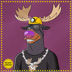 Moose Society #3267