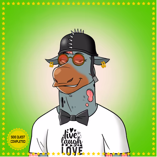 Moose Society Qc
