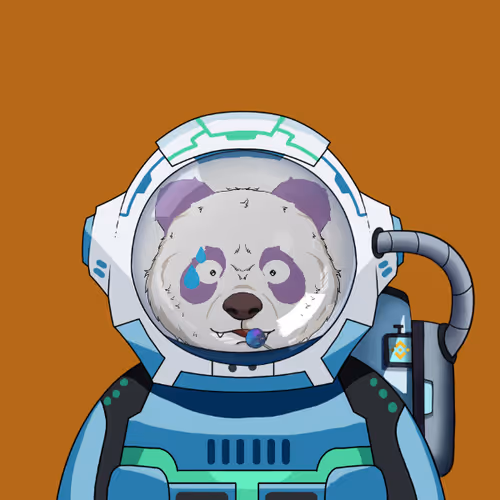 Pandaastronautclub