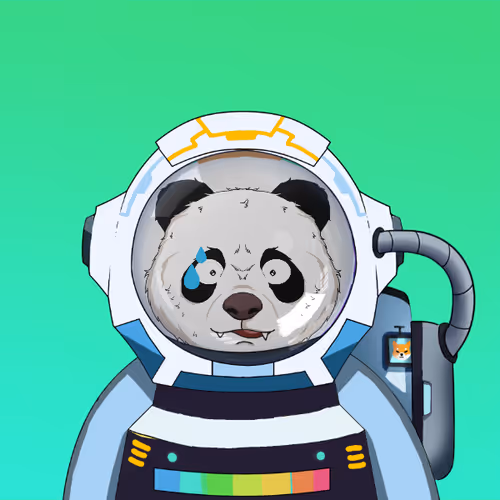 Pandaastronautclub