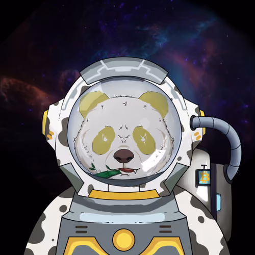 Panda Astronaut Club #27