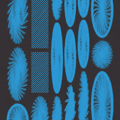 1100000006000022