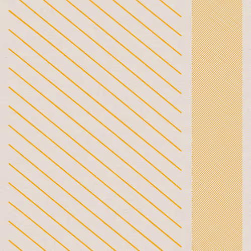 1100000006000005