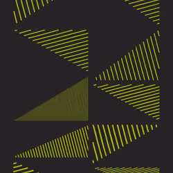 1100000006000028