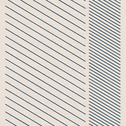 1100000006000013