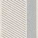 1100000006000013