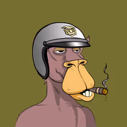 BCCC #25
